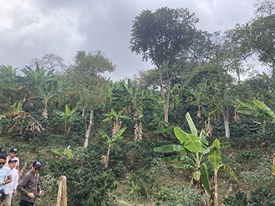 日本自然保護協会