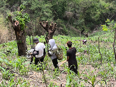 The Energy and Resources Institute （TERI）