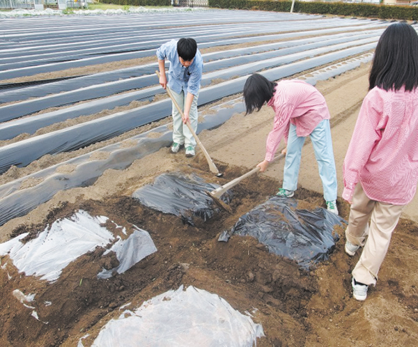 写真：群馬県立伊勢崎興陽高等学校の活動