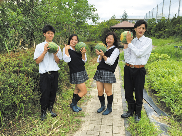 写真：大阪府立平野高等学校の活動