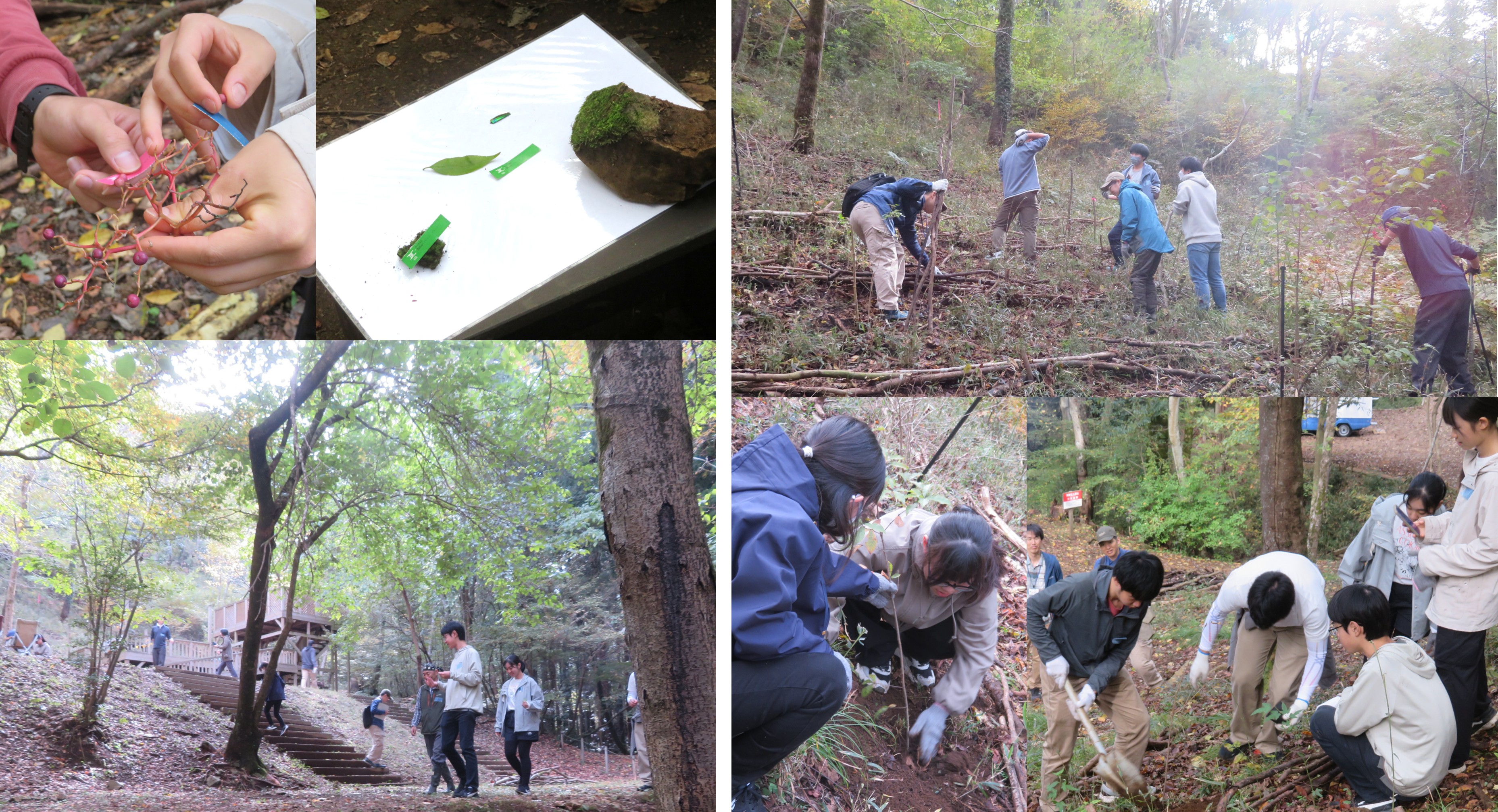 写真:4.色探しゲーム_植樹地整備
