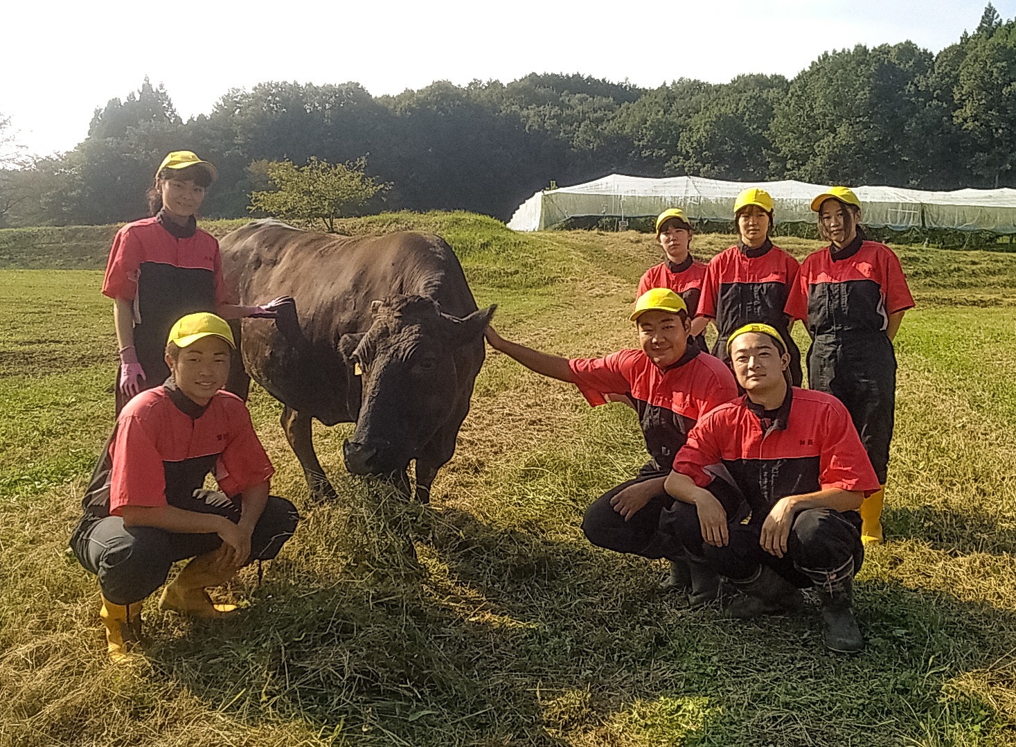 栃木県立矢坂高等学校／農業技術部畜産班の画像