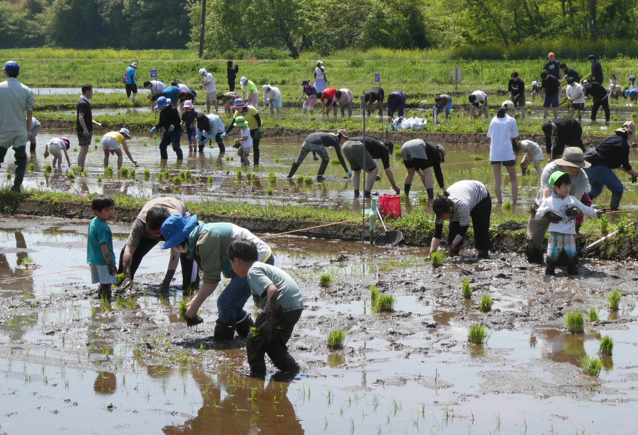 “コウノトリと人が共に生きる故郷ふるさと”を育み、次世代へ受け継ぐ