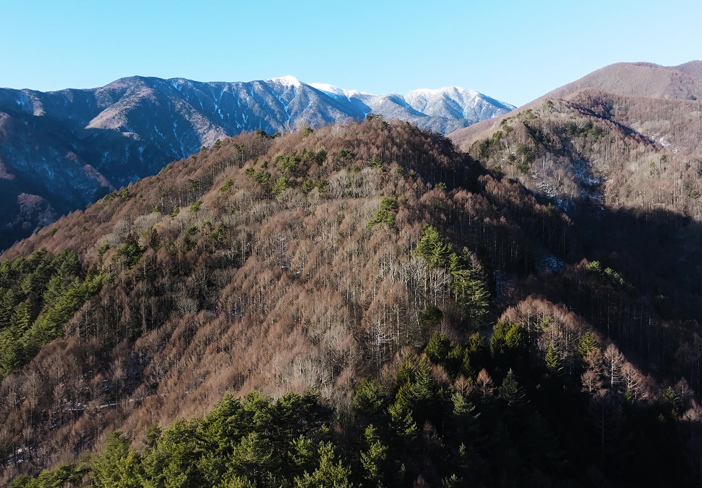 昔から里山として親しまれてきた鳩吹山。