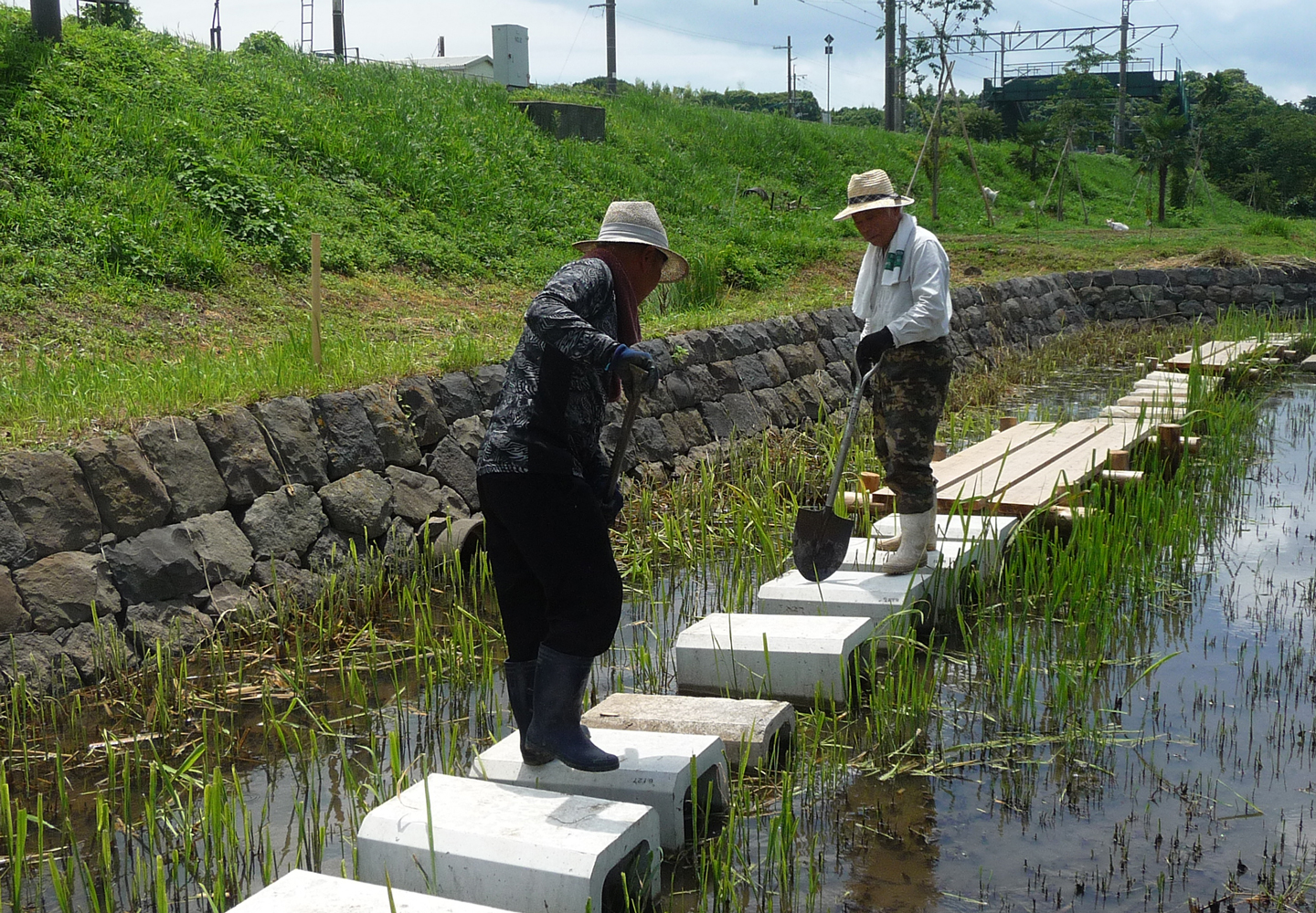 海へと注ぐ水の流れをたどると、その上流には里山の風景が広がっています。そこに中島直道さんを中心に「めだかの楽校（がっこう）」の仲間が情熱を注ぐビオトープエリアがあります。