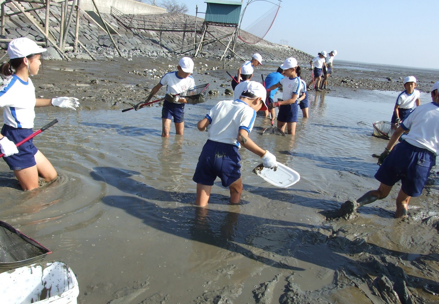 潮だまりの生き物探し