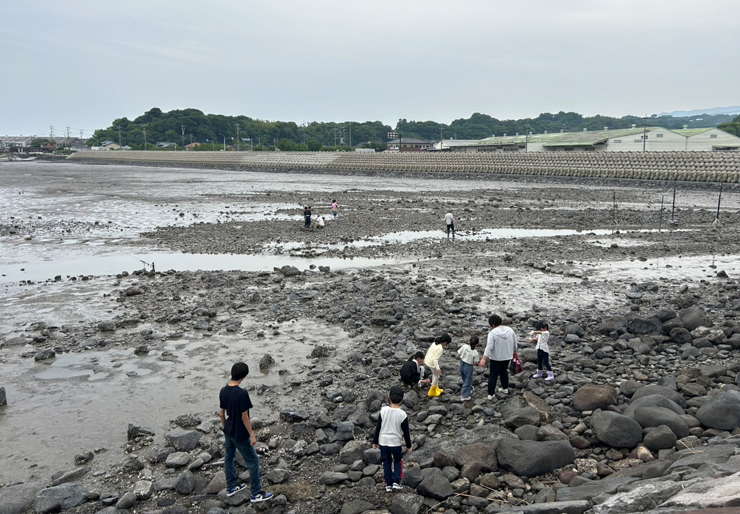陽が高くなるにつれ、干潟はさらに活気づいていきます。