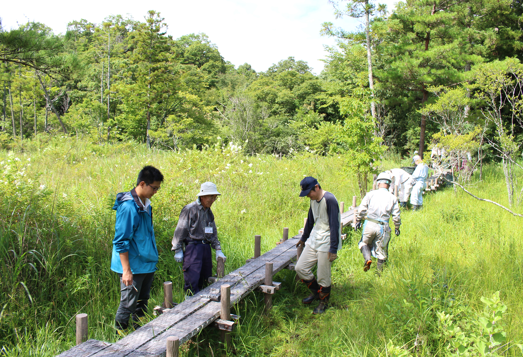 【愛知県岡崎市】岡崎市 小呂湿地