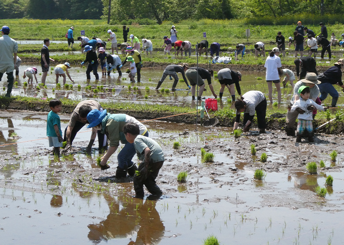 【千葉県野田市】江川地区　“コウノトリと人が共に生きる故郷”を育み、次世代へ受け継ぐ