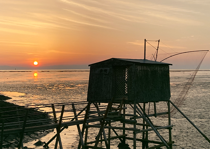 【佐賀県鹿島市】ななうら 干潟とめだかの里　地域の宝を次世代へ。交流の輪で紡ぐ、七浦の豊かな未来