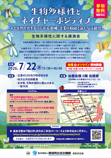 チラシ画像