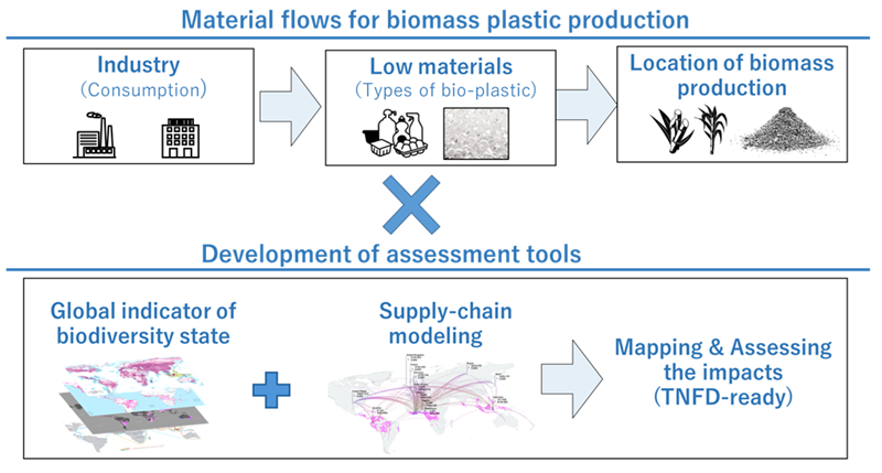 To assess and visualize the impact on natural capital aligns with the TNFD, we will develop the environmental impact assessment and supply chain analysis of biomass resource utilization, including biomass plastics.