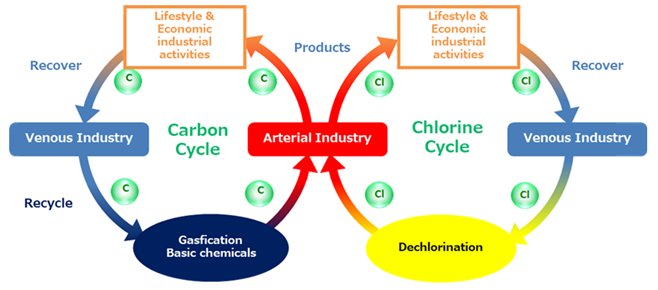 Schematic diagram of the carbon and chlorine cycles
