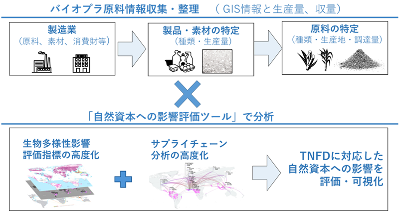 ティーエヌエフディーに対応した自然資本への影響を評価、可視化するため、バイオマスプラスチックを含むバイオマス資源利用の環境影響評価指標とサプライチェーン分析の高度化を行う。