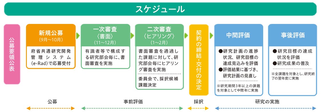 申請から研究実施までのスケジュールの図