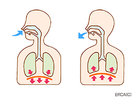 イラストダウンロード パンフレット 大気環境 ぜん息などの情報館 大気環境 ぜん息などの情報館 独立行政法人環境再生保全機構