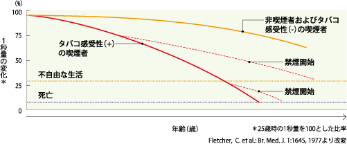 非喫煙者とCOPD患者の経年的な1秒量の低下と、禁煙後の肺機能の変化