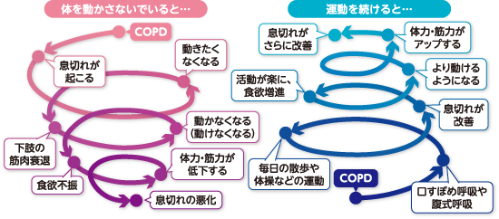 COPDの息切れの悪循環と運動の効果