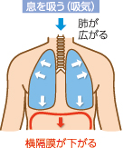 息を吸う〈吸気〉