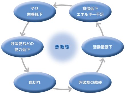 悪循環　やせ栄養低下→呼吸筋などの筋力低下→息切れ→呼吸筋の酷使→活動量低下→食欲低下エネルギー不足→