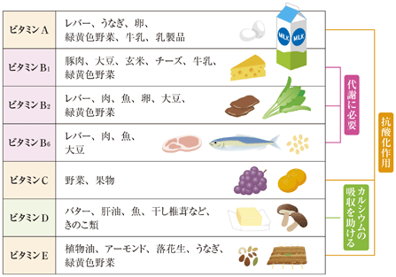 食品 ビタミン b2