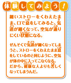 体験してみよう！細いストローをくわえたま
ま、口で息をしてみると、気道が細くなって、空気が通りにくい状態になる。ぜんそくで気道が細くなってしまうと、ストローをくわえたまま息をしているのと同じように、空気が体の中に入ってこなくなる。だから、健康な人よりも苦しくなってしまうんだ。