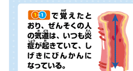 1-1で覚えたとおり、ぜんそくの人の気道は、いつも炎症が起きていて、しげきにびんかんになっている。