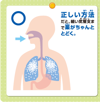 正しい方法だと、細い気管支まで薬がちゃんととどく。