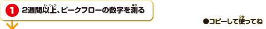 1２週間以上、ピークフローの数字を測る