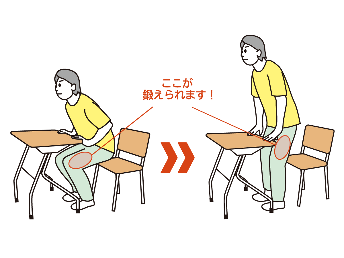 膝から太ももにかけての筋肉が鍛えられます。