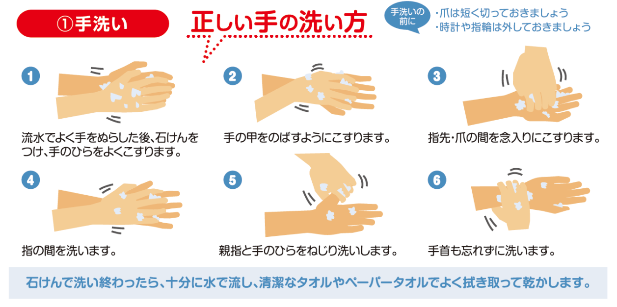 正しい手の洗い方