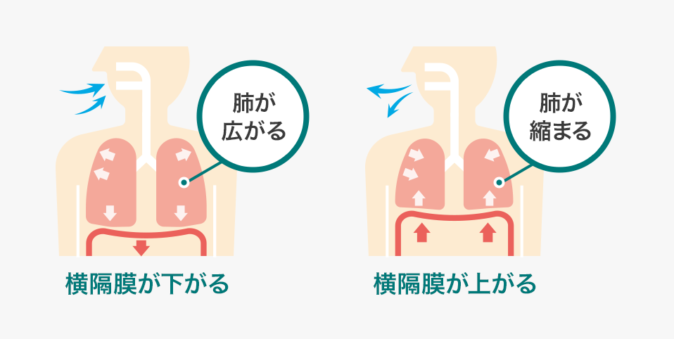 上手に付き合う 効率の良い呼吸法を身につけよう Web版すこやかライフ 独立行政法人環境再生保全機構